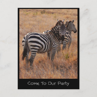 Cartão de Convite Zebra