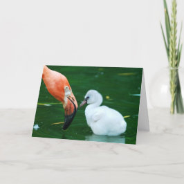 Cartão de cumprimento adulto do flamingo e do