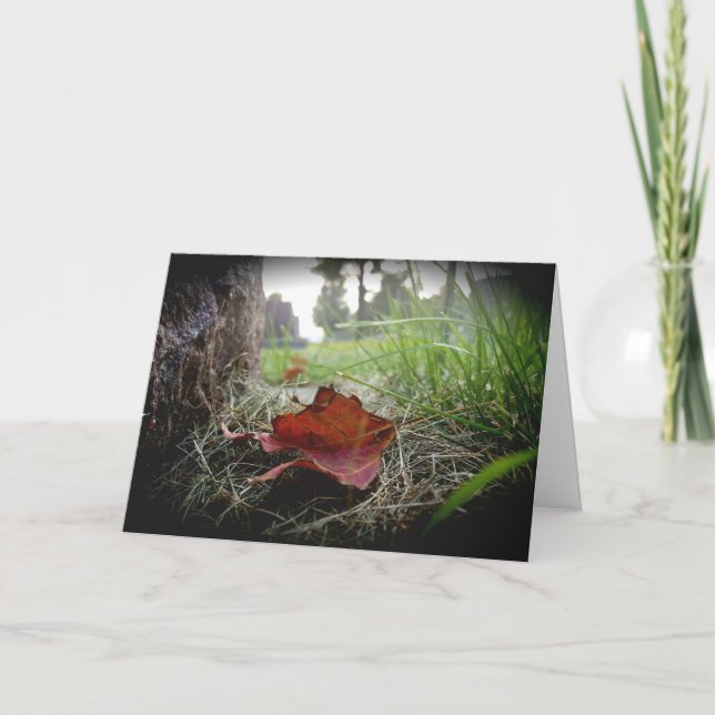 Cartão de Cumprimento “Primeiro Sinal do Outono” (Frente)