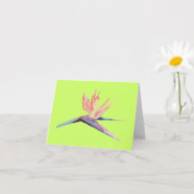 Cartão de Cumprimentos Ave do Paraíso