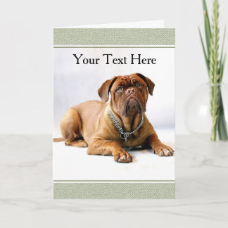 Cartão de Cumprimentos com Mastiff / Cão em Fundo 