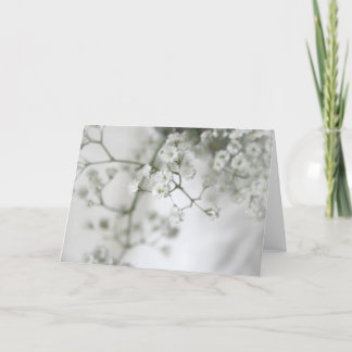 Cartão de cumprimentos da pureza