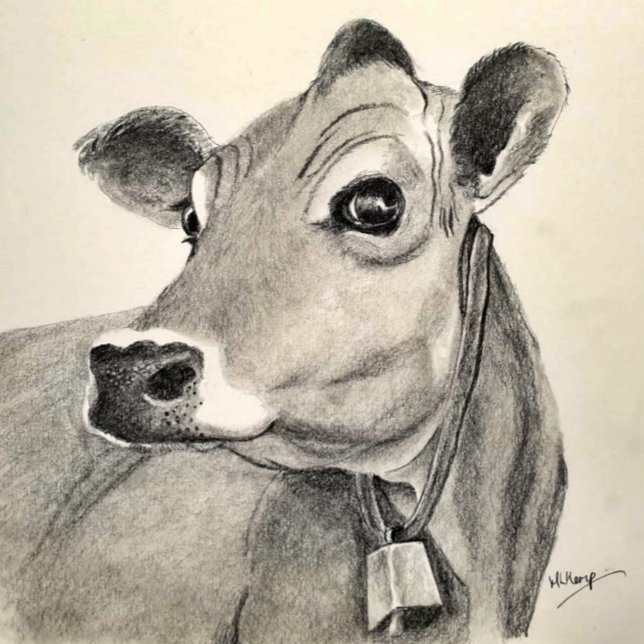 Cartão de cumprimentos Daisy Cow (Criador carregado)