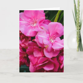 Cartão de cumprimentos de flores cor-de-rosa
