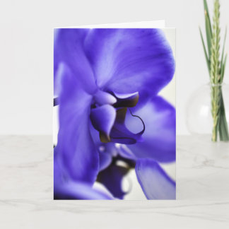 Cartão de Cumprimentos de Fotografia Floral Orquíd