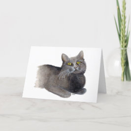 Cartão de Cumprimentos de Simpatia do Gato Cinza