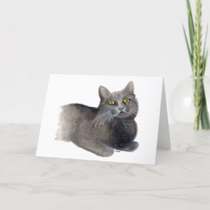 Cartão de Cumprimentos de Simpatia do Gato Cinza