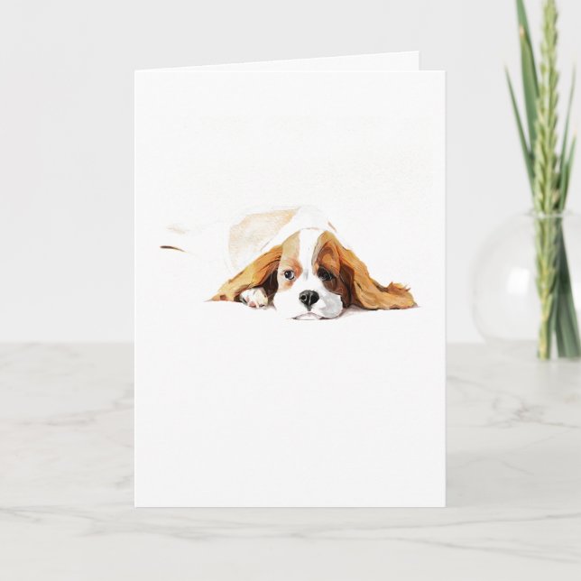 Cartão de Cumprimentos do Cavalier King Charles Sp (Frente)