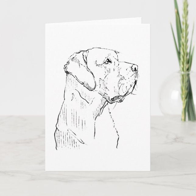 Cartão de cumprimentos do tranquilo Labrador Retri (Frente)