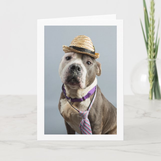 Cartão de cumprimentos em branco (Frente)