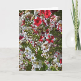 Cartão de cumprimentos em branco com flores vermel
