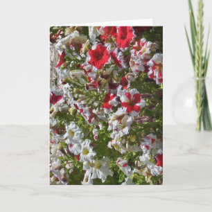 Cartão de cumprimentos em branco com flores vermel