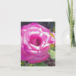 Cartão de Cumprimentos Personalizado Rosa Rosa com