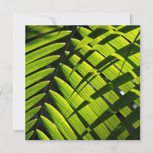Cartão de cumprimentos simples com folhas de palme (Frente)