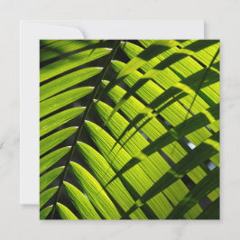 Cartão de cumprimentos simples com folhas de palme