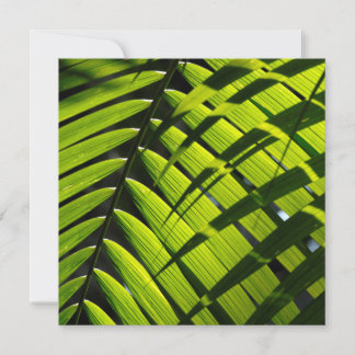 Cartão de cumprimentos simples com folhas de palme