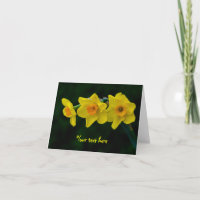 Cartão de cumprimentos Trio de Narcisos
