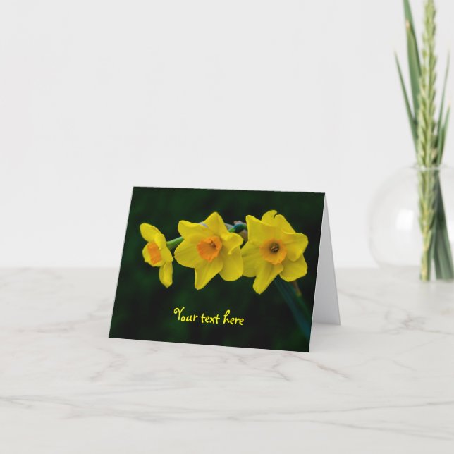 Cartão de cumprimentos Trio de Narcisos (Frente)
