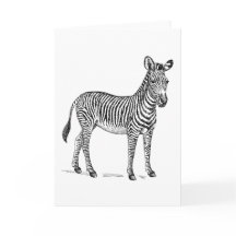 Cartão de cumprimentos vazio da zebra