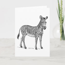 Cartão de cumprimentos vazio da zebra