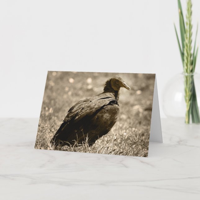 Cartão de Customizeable do abutre (Frente)