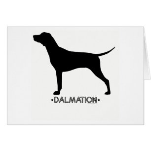 Cartão de Dalmation