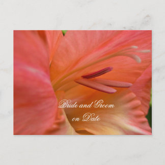 Cartão de data de salvamento do Primavera de Hibis