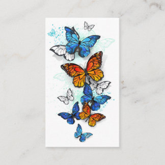 Cartão De Desconto Borboletas voadoras Morpho e Monarca