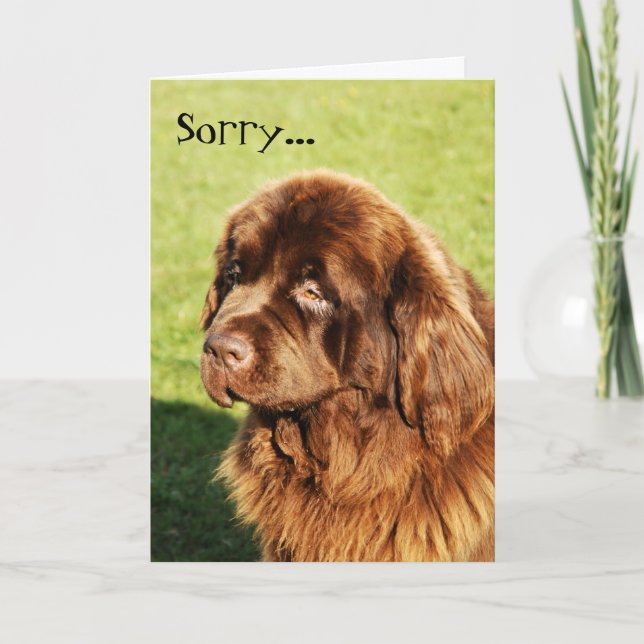 Cartão de Desculpa da Terra Nova (Frente)