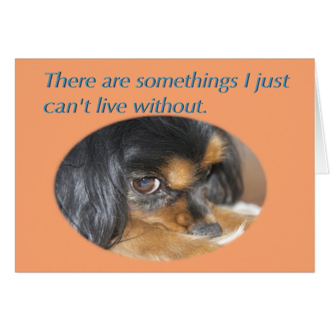 Cartão de Desculpas Com Cavalier King Charles Span (Frente Horizontal)