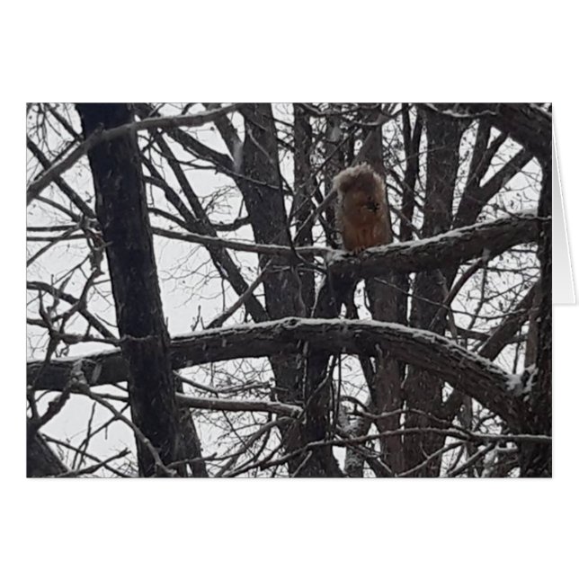 Cartão de Desejo de Natal de Bênção de Inverno (Frente Horizontal)