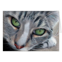 Cartão de desenho de observação do gato malhado