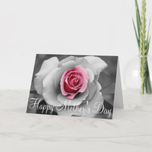 Cartão de dia das mães com rosa rosa única