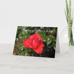 Cartão de dia das mães com rosa vermelha única