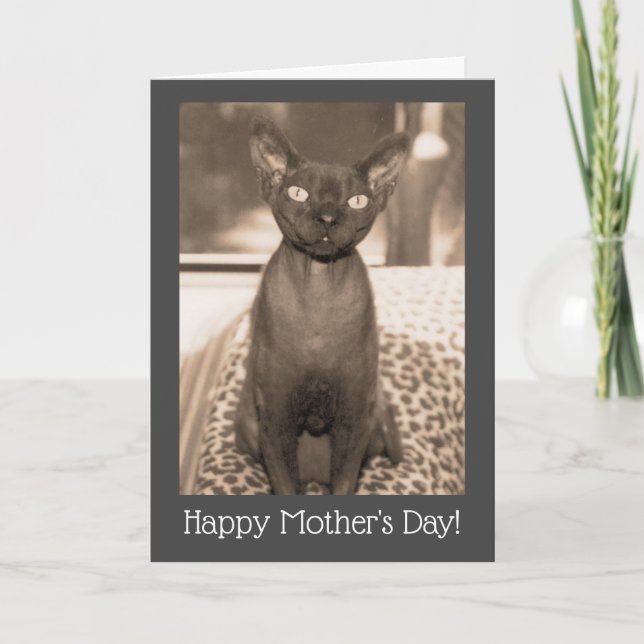 Cartão de Dia das Mães para Gato | Devon Rex Foto  (Frente)