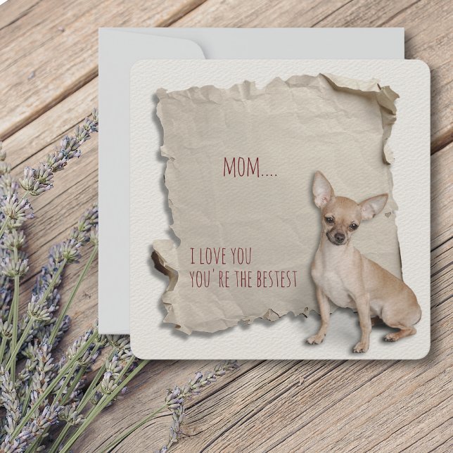 Cartão de Dia de as mães de Papel Torn da Chihuahu (Mothers Day is a great time to show mom how special she is, but any day is a day to say I love you!)