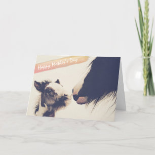 Cartão de Dia de as mães Feliz para o Pé e a égua