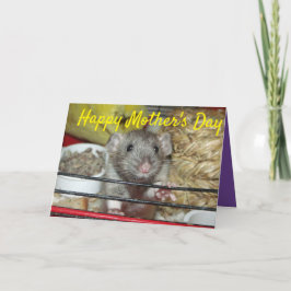 Cartão de Dia de as mães para bebê rato