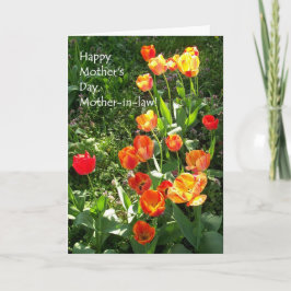 Cartão de dia de as mães para sogra - 'Tulips'