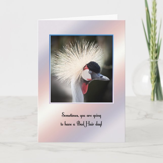 Cartão de dia de cabelo ruim para encorajamento. (Frente)