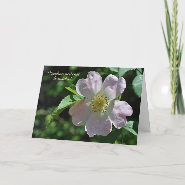 Cartão de Dia de Nome em Tcheco (Frente)