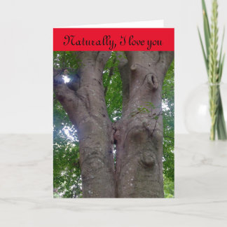 Cartão de dia de os namorados para qualquer amante