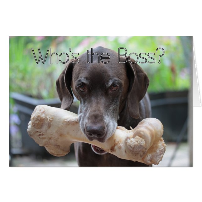 Cartão de Dia do Chefe (Frente Horizontal)