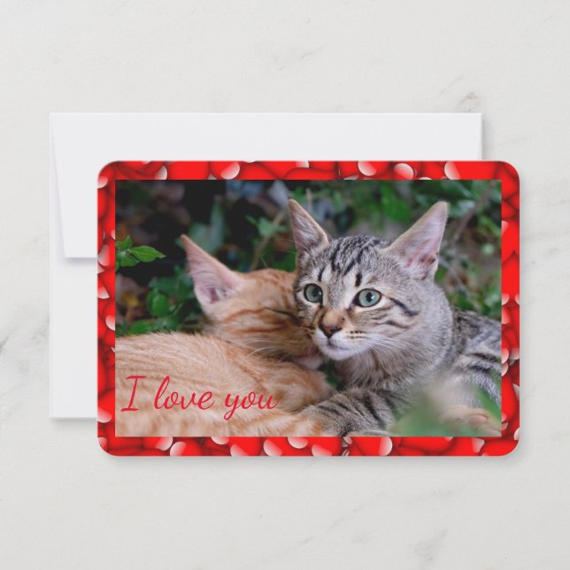 Cartão de Dia dos Namorados de Gato Fofo (Frente)