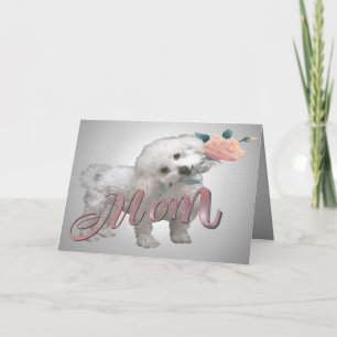 Cartão de Dia Mãe Bichon