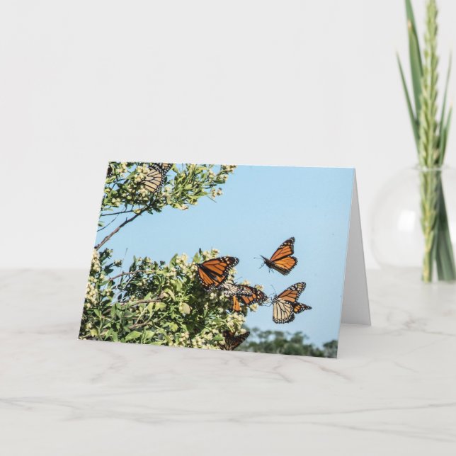 Cartão de Dinheiro (Frente)