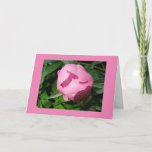 Cartão de divórcio