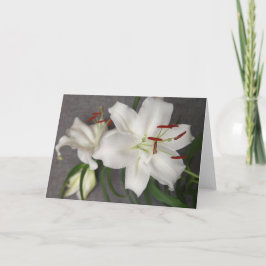 Cartão de dois lírios brancos