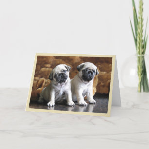 Cartão de dois Pugs
