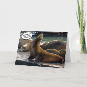 Cartão de Dose de Super Herói Seal